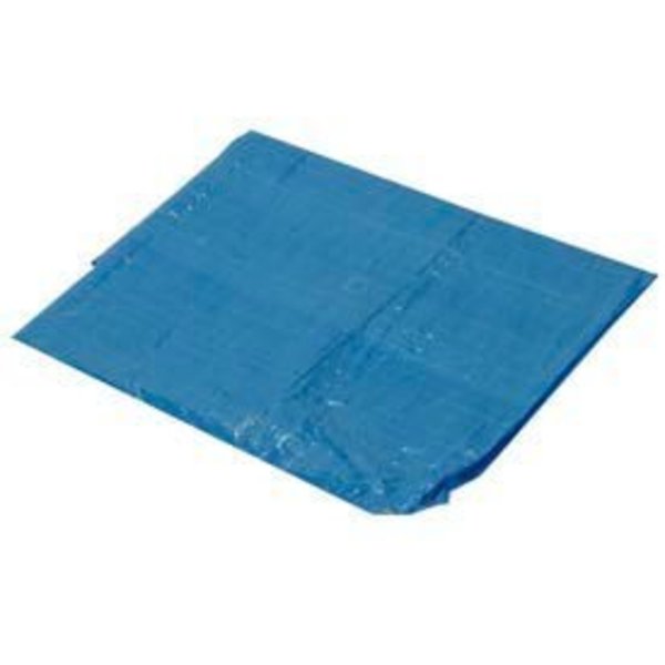 Harpster Of Philipsburg 6 ft x 8 ft Light Duty Tarp, Blue, High-Density Polyethylene B6x8